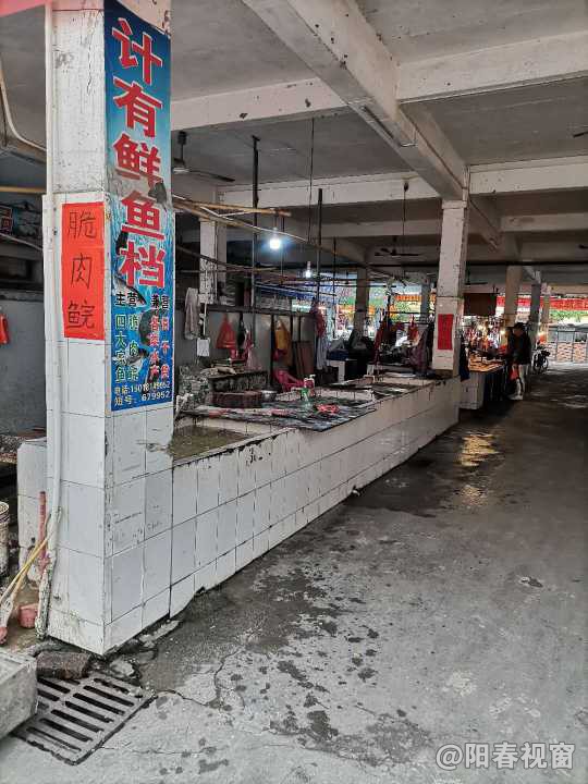 最新魚檔轉(zhuǎn)讓，把握商機(jī)，輕松開啟水產(chǎn)養(yǎng)殖事業(yè)之路