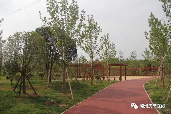 隨州桃園公園最新動態(tài)揭秘，驚喜連連，不容錯過！