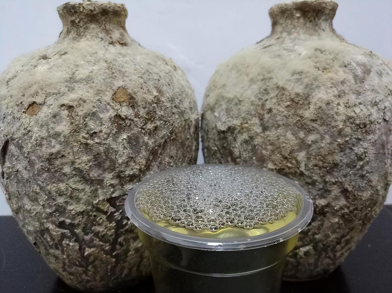 仁懷房屋出售最新信息，科技與家居融合，未來家居新體驗(yàn)重磅推出