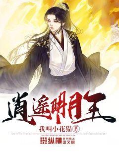 時(shí)代之光下的璀璨篇章，明月珰最新連載熱議熱議熱議！