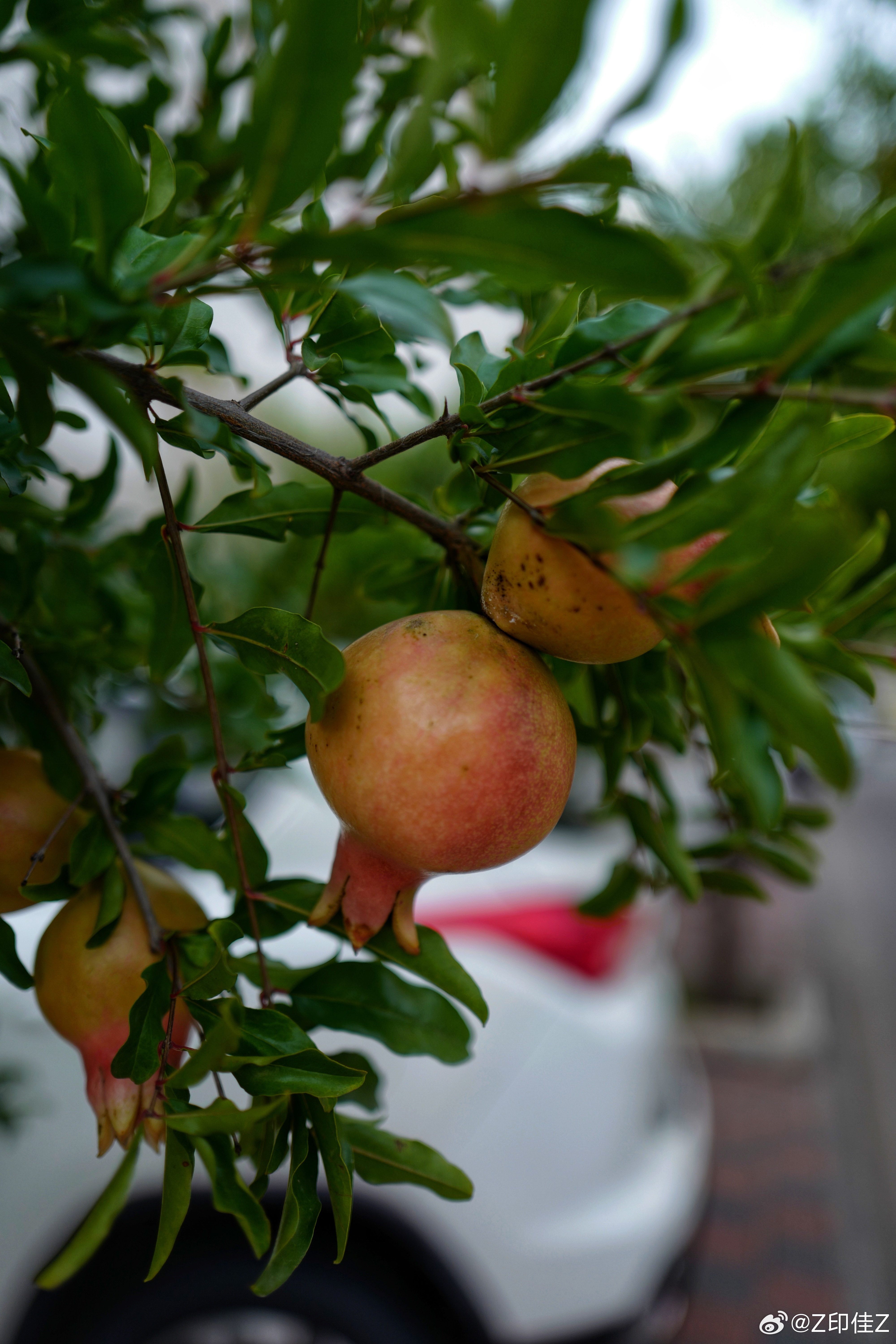 遠(yuǎn)離非法色情內(nèi)容，倡導(dǎo)健康生活與積極旅游體驗