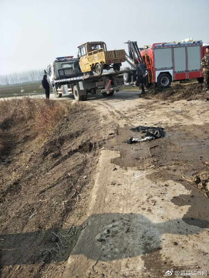 泗縣車禍悲劇，警醒與深思背后的最新新聞報道