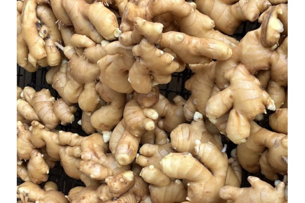 昌邑生姜市場(chǎng)最新價(jià)格指南，全面了解生姜市場(chǎng)行情與價(jià)格動(dòng)態(tài)