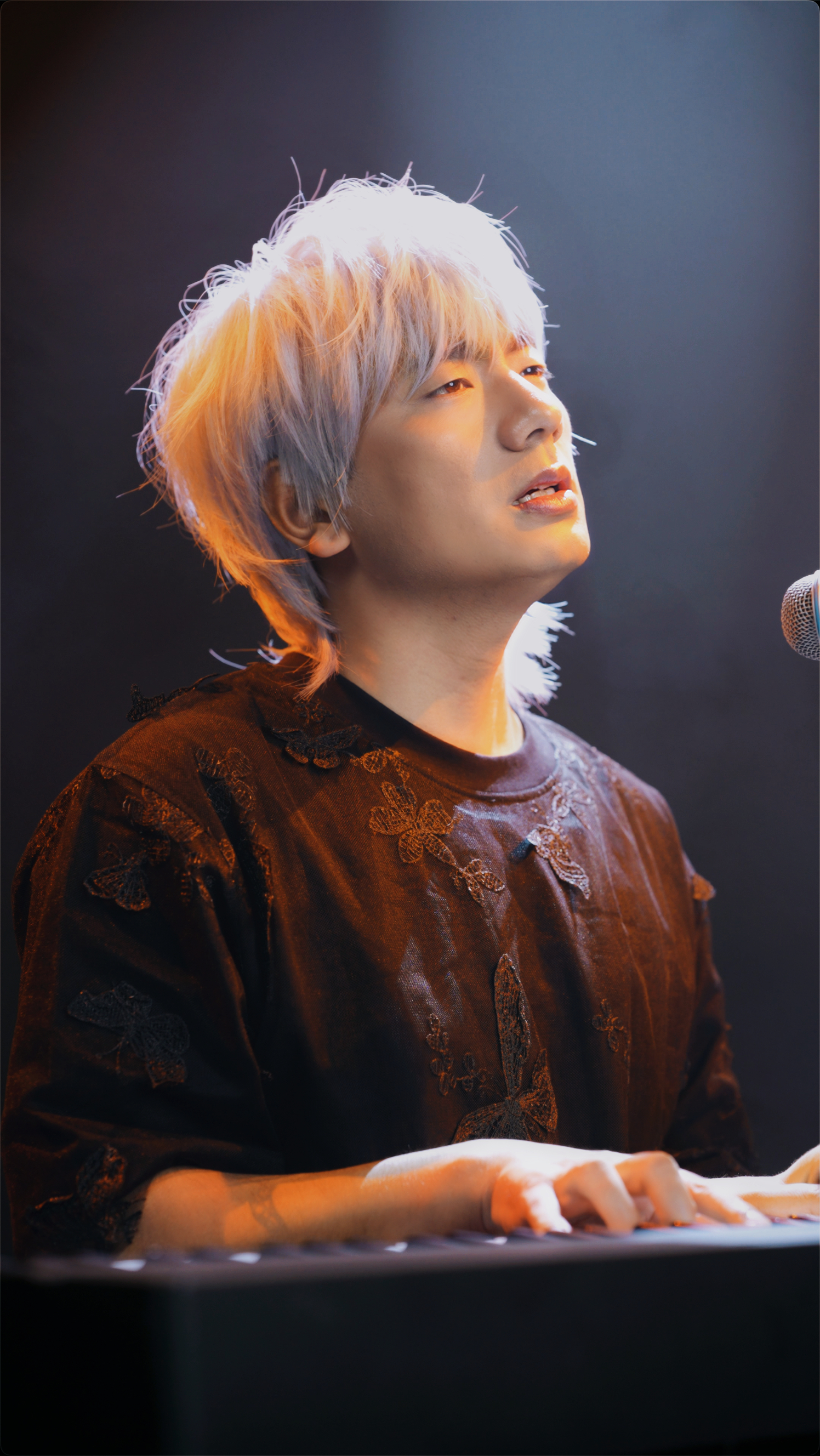 冷漠2024最新預(yù)告新歌，音樂(lè)與時(shí)代交融的期待之聲