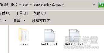 Jav最新網(wǎng)址探索，小巷深處的獨特風味之旅