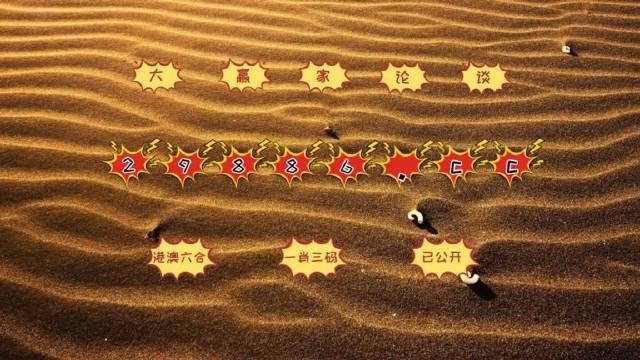 澳門(mén)九點(diǎn)資料,目前現(xiàn)象解析描述_VJY58.777可靠性版