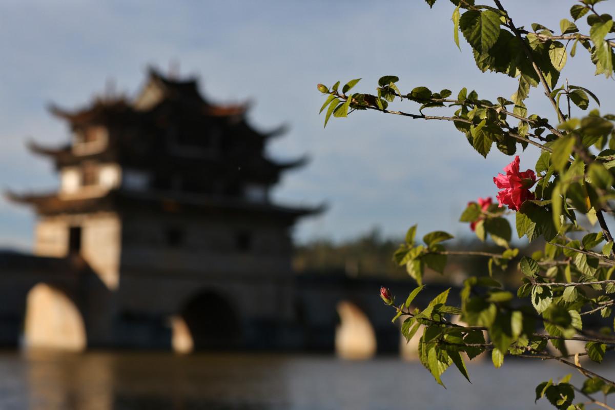 大冰最新力作，智能生活新紀元——科技與生活的完美融合