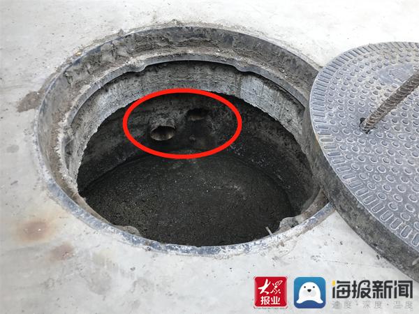 福建臺(tái)幫幫團(tuán)最新一期揭秘，小巷深處的隱藏美食瑰寶