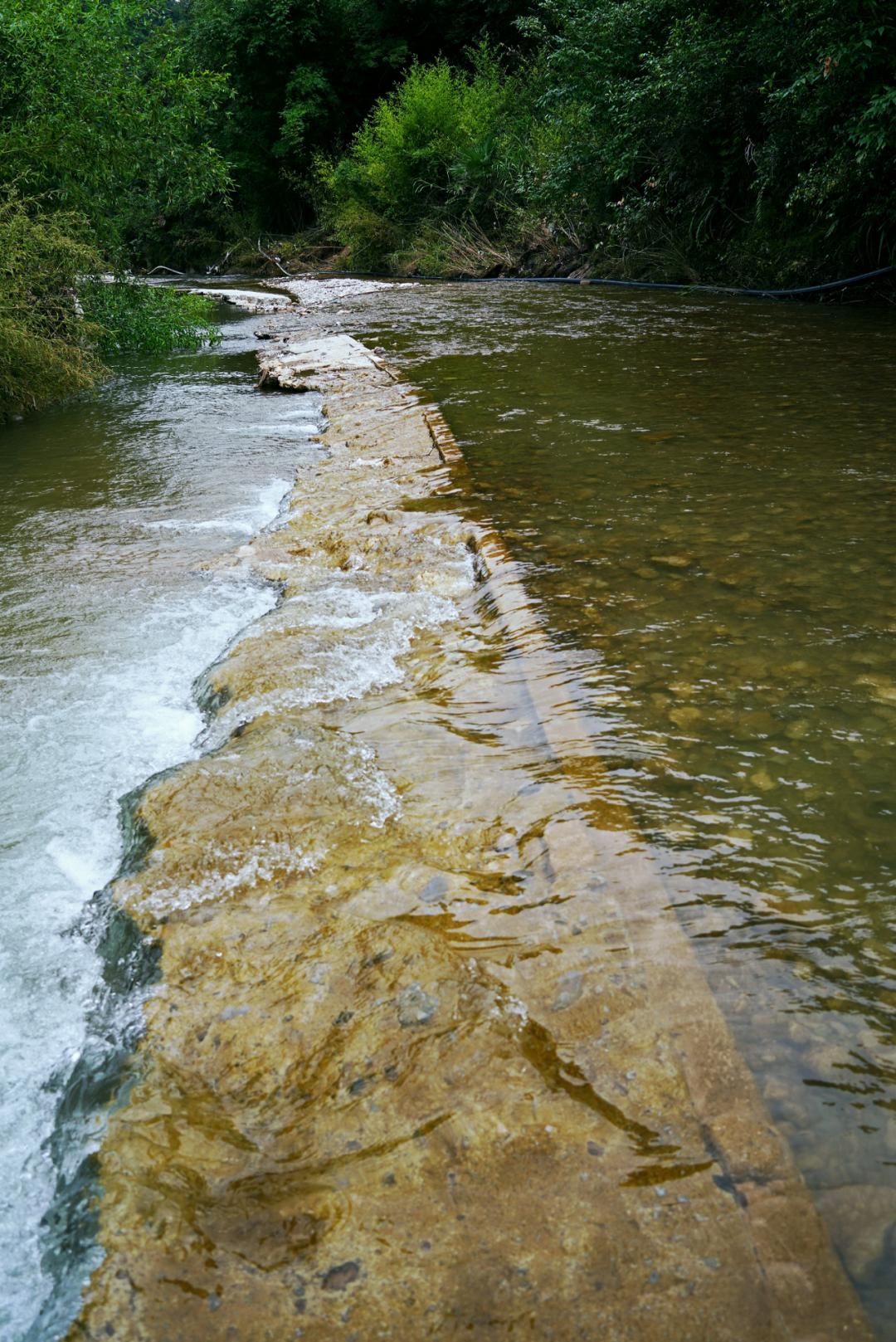 新奧2024年免費(fèi)資料大全,專業(yè)解讀方案實(shí)施_旅行者特別版35.641