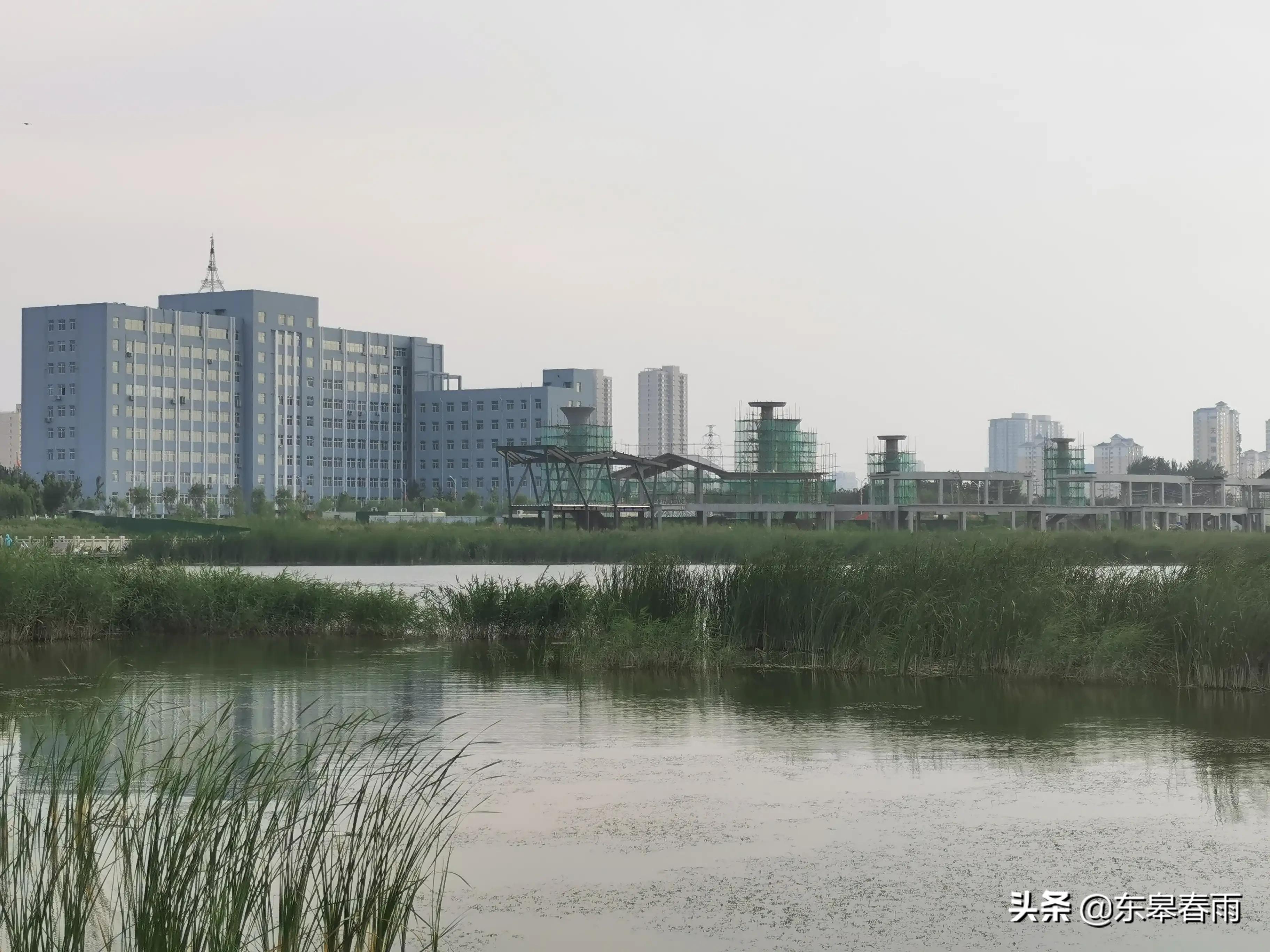 保定東湖一號最新動態(tài)與歡樂日常體驗(yàn)