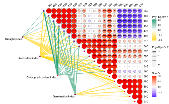 新澳門資料大全正版資料？奧利奧,科學解釋分析_增強版40.269
