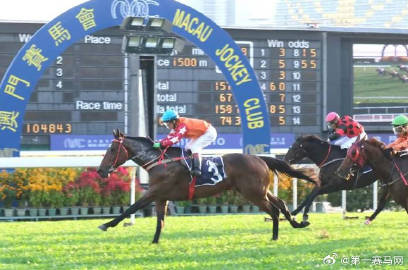 2024年澳門特馬今晚,標(biāo)準(zhǔn)執(zhí)行具體評價_知識版49.560