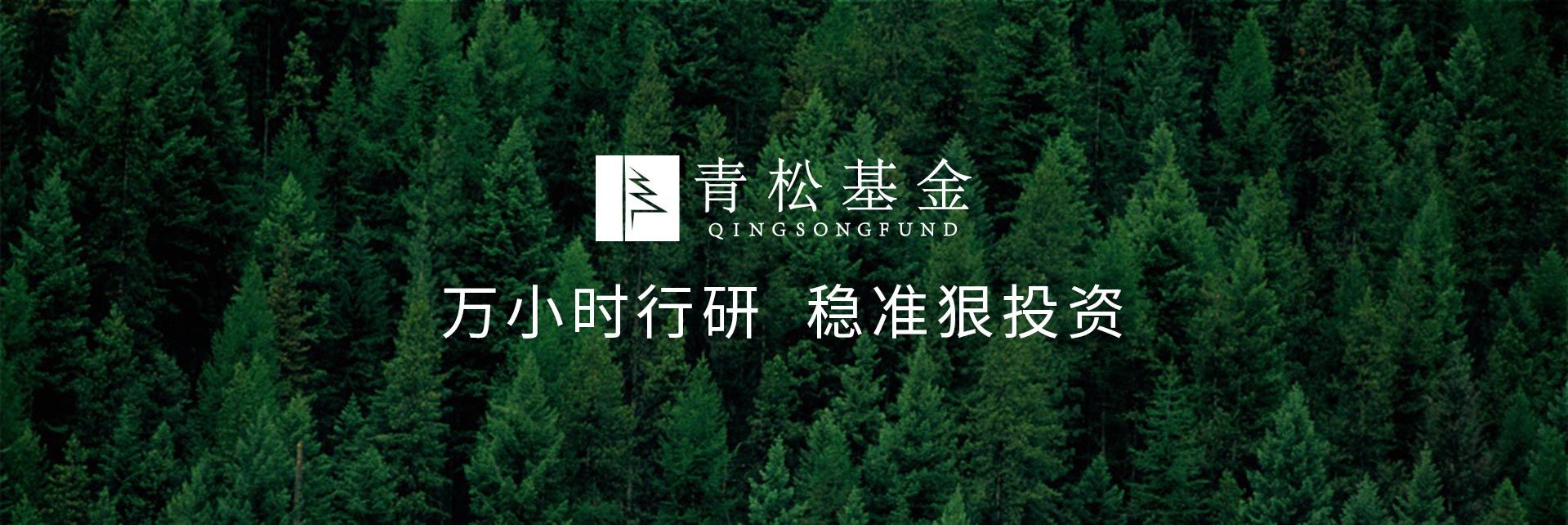 長青樹眾籌最新動(dòng)態(tài)，背景、發(fā)展與時(shí)代地位探索