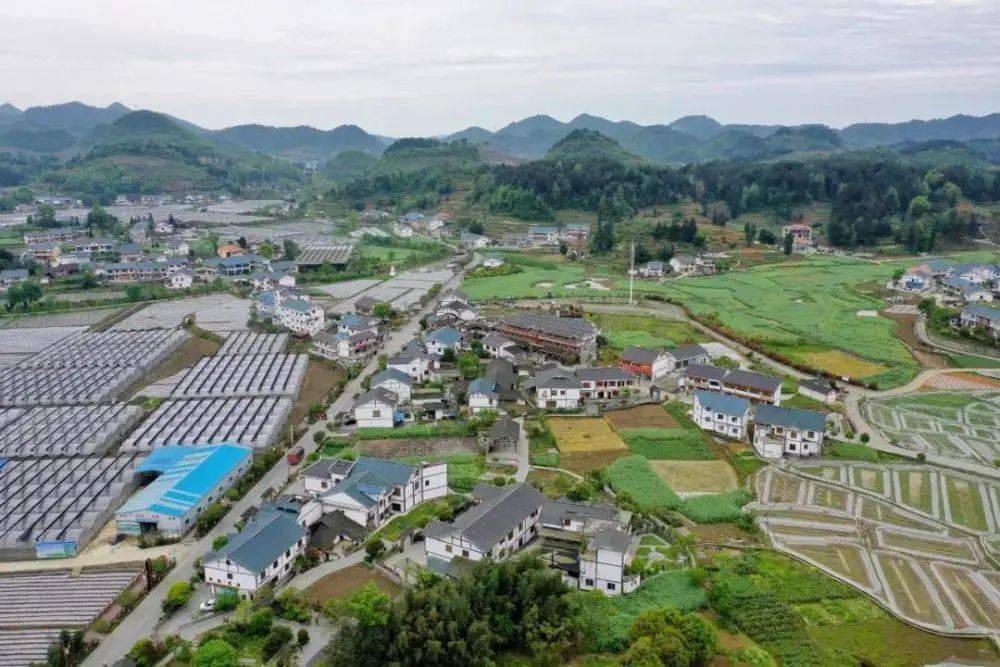 遵義市喇叭鎮(zhèn)最新動(dòng)態(tài)更新，最新消息匯總