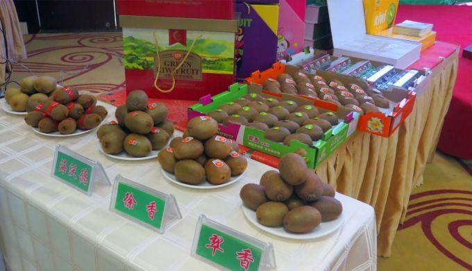 嘉興對(duì)接上海最新進(jìn)展，城市崛起中的自信與成就感展現(xiàn)新面貌