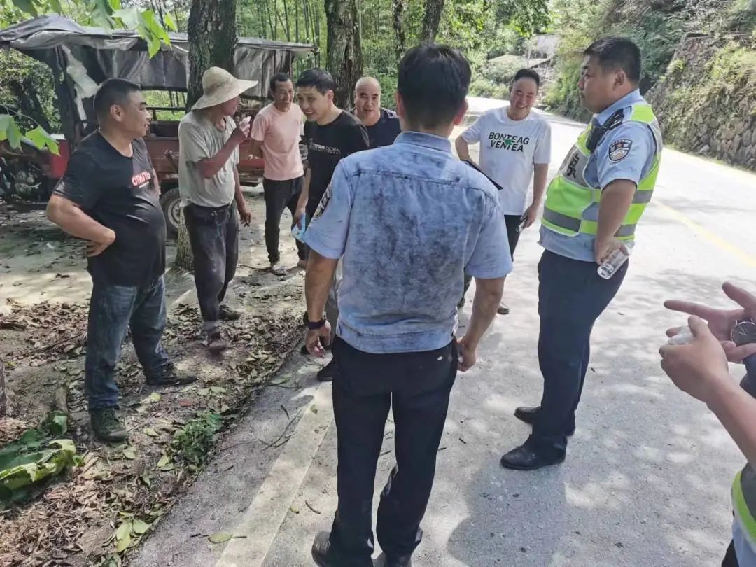 慶元最新事件，引領科技潮流的高科技產品揭秘