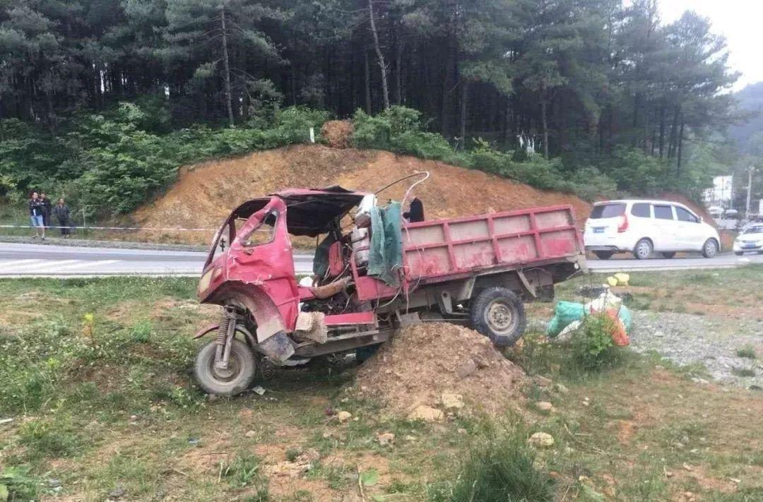 平山事故背后的溫馨故事，友情、愛(ài)與陪伴的奇遇