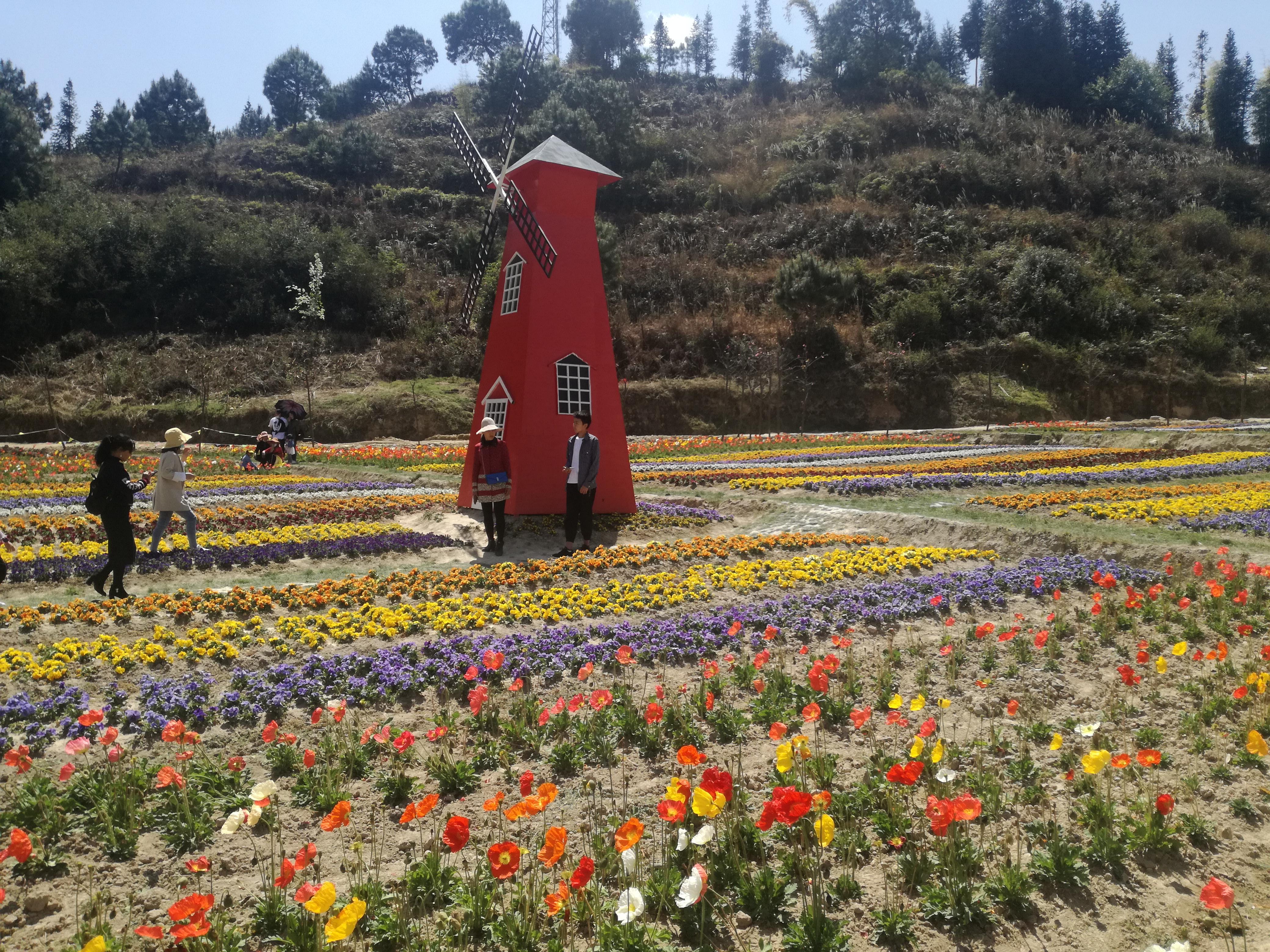 臨滄市最新探索，自然美景之旅，尋找內(nèi)心平和的旅程