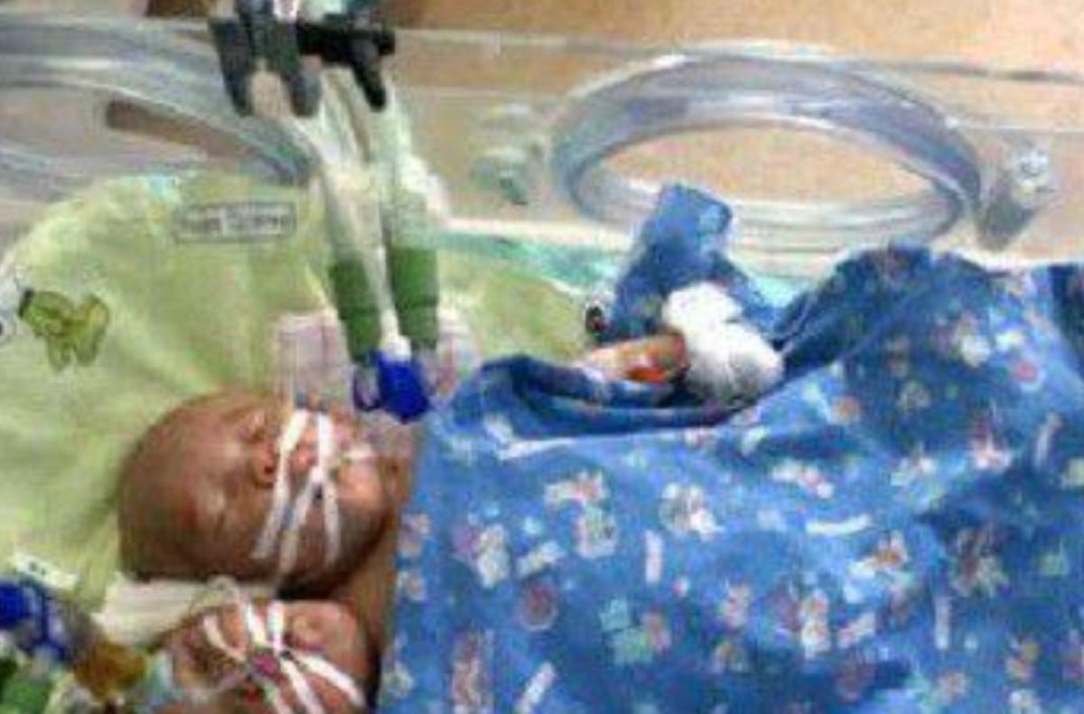 雙頭姐妹，時代背景下的傳奇故事最新進展