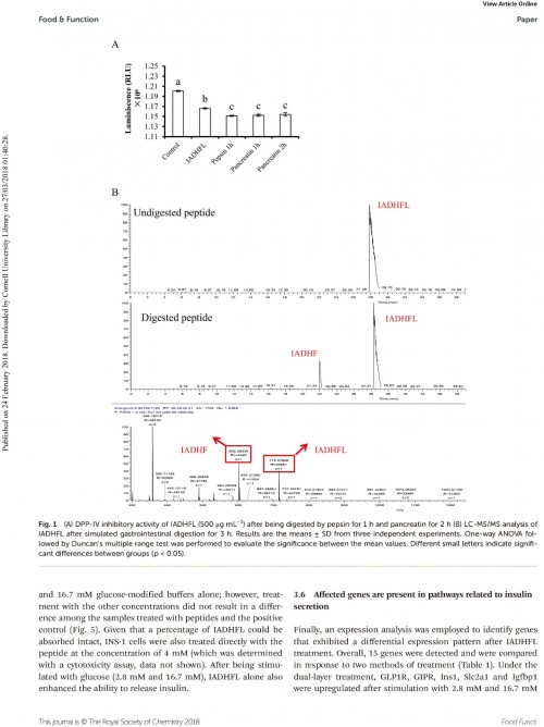 糖肽最新文獻(xiàn)，自然之旅的心靈探尋之旅，尋找內(nèi)心的寧靜