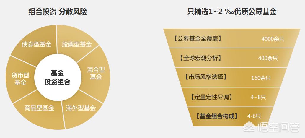 深度解析，今年養(yǎng)雞產(chǎn)業(yè)趨勢與前景展望