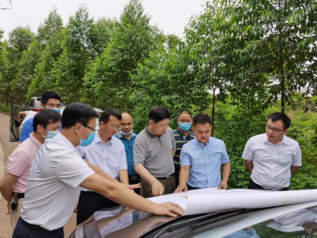 南寧龍象谷最新資訊，游玩指南與技能學(xué)習(xí)步驟全解析