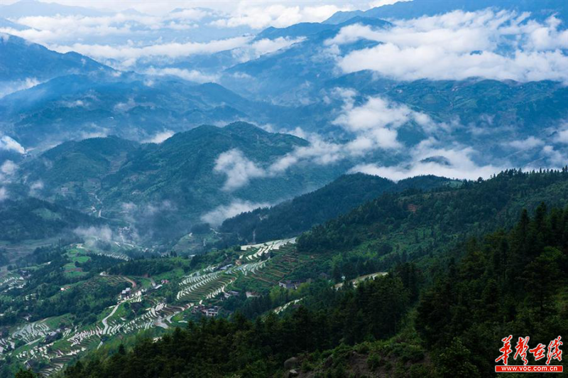 雪峰山資訊，一段溫馨有趣的探索之旅