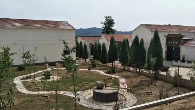 上莊最新動(dòng)態(tài)，綠意盎然的新居生活????