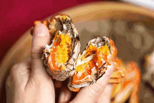 ??陽(yáng)澄湖螃蟹上市季節(jié)情報(bào)，吃貨必知的秋季美味盛宴！??