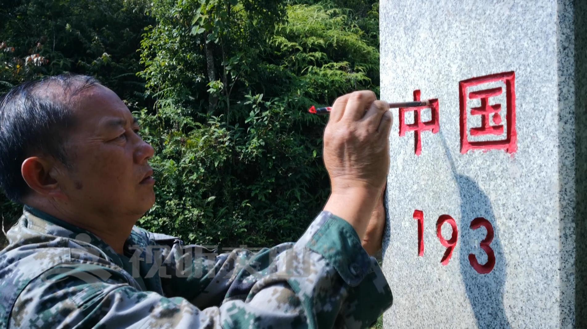 文山黃牛打架比賽，傳統(tǒng)與爭(zhēng)議的碰撞