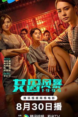淘君爹最新影片，小巷深處的電影寶藏探索