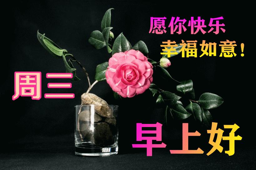 最新早晨問候動態(tài)表情包，溫馨問候，從表情開始！