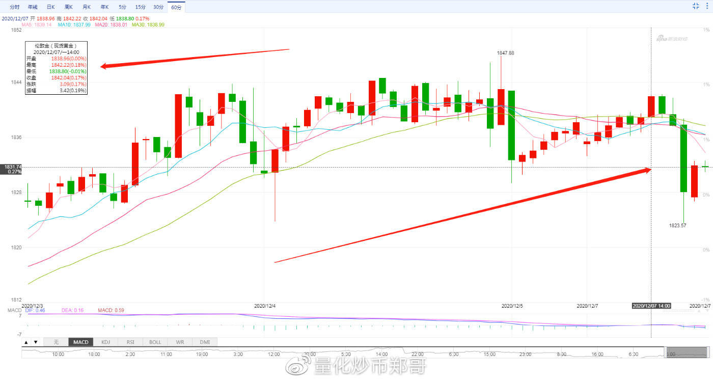 外匯今日行情，市場波動與溫馨故事交織的旅程