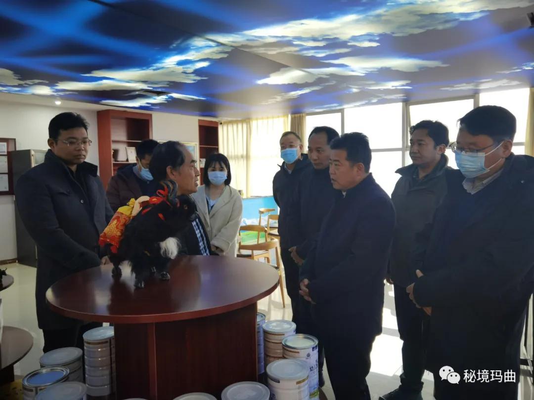 高原之寶上市，學(xué)習(xí)、蛻變與自信的輝煌之旅