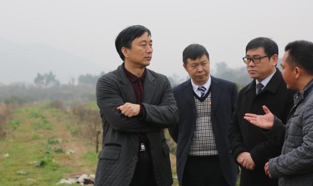 錦富技術(shù)最新動態(tài)更新，最新消息匯總