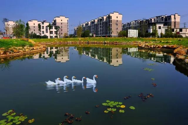 萍鄉(xiāng)安源湖，最新動(dòng)態(tài)揭示湖畔變革與自我超越之旅