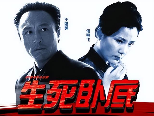 中國(guó)毒梟電視劇大全，友情與陪伴的溫馨日常之旅