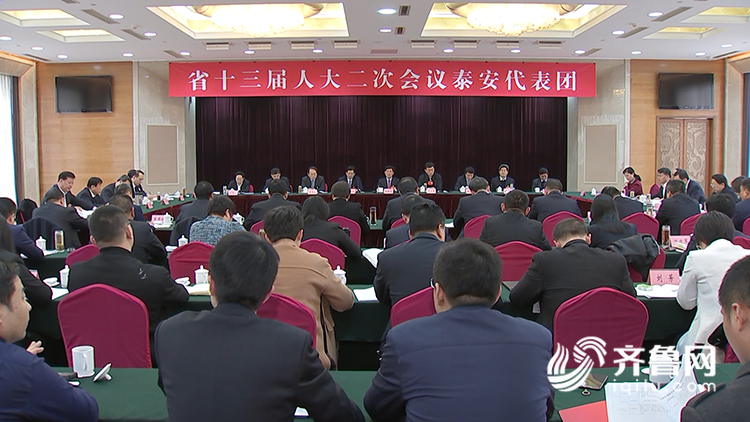 泰安市委最新領(lǐng)導陣容及其影響分析概述