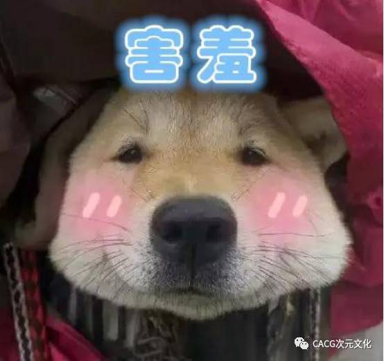 最新狗狗動(dòng)畫(huà)大盤(pán)點(diǎn)