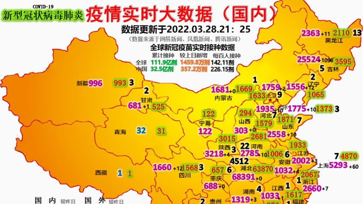 最新疫情動態(tài)詳解，初學(xué)者與進(jìn)階用戶的步驟指南
