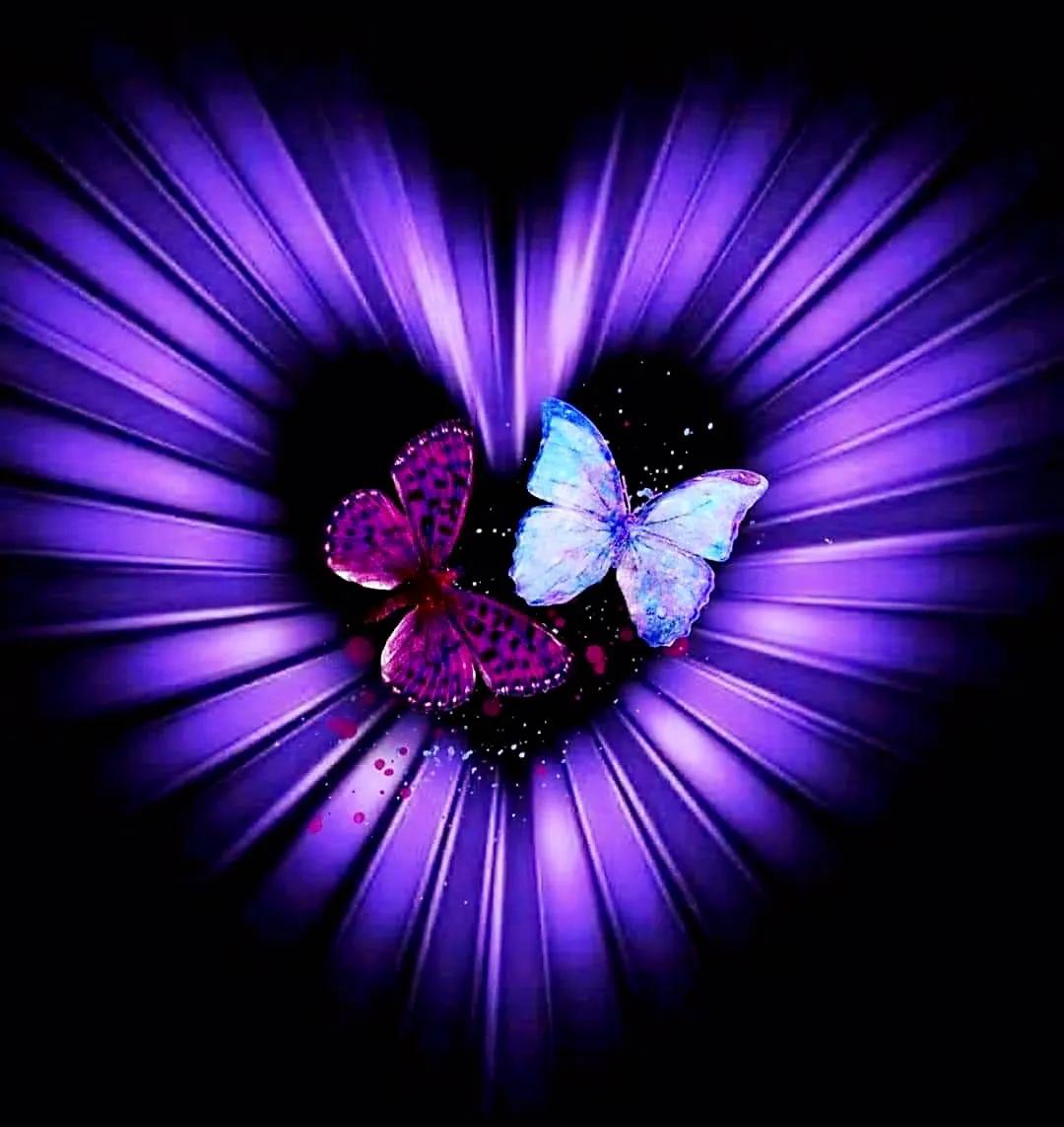 最新情感交流圈，學(xué)習(xí)、成長與自信的力量之源