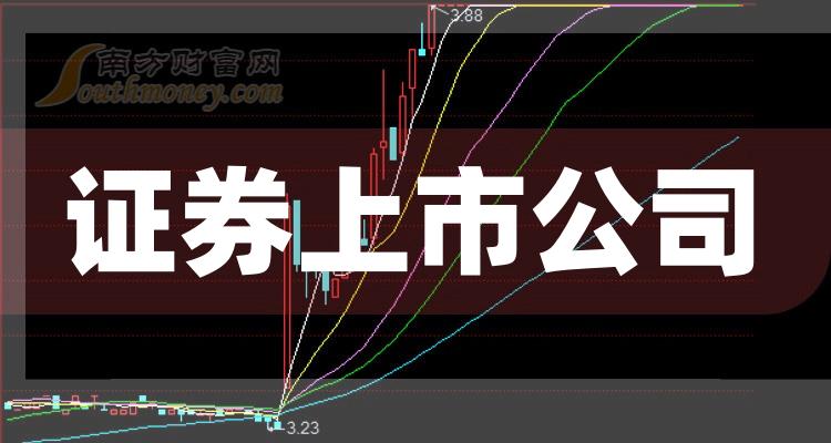 科技巨頭引領(lǐng)下的全新視界，股票上市公司概覽