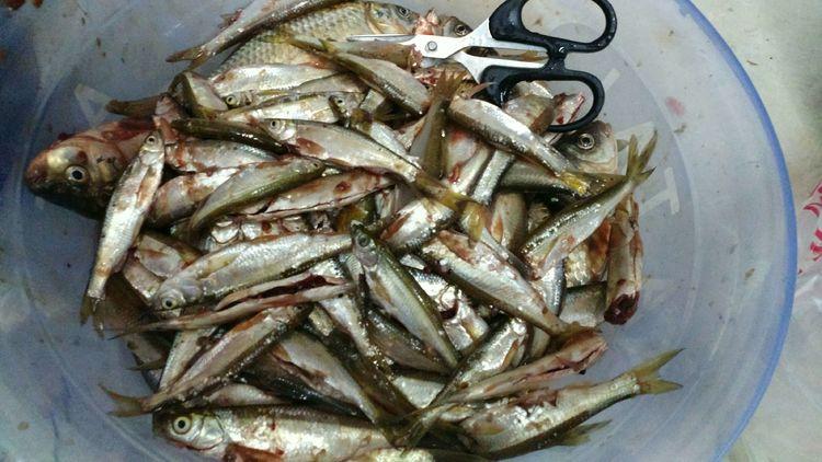 昆明最新野釣地點(diǎn)探索，重拾生活激情與自信的自然之旅