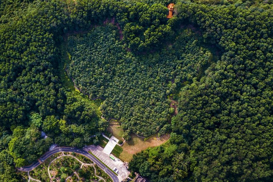 香港演員林，溫馨日常的點(diǎn)滴記錄