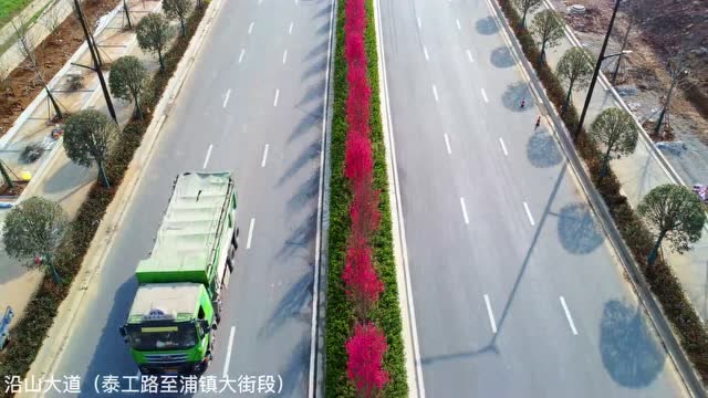 關(guān)花大道最新進(jìn)展，矚目盛景呈現(xiàn)！