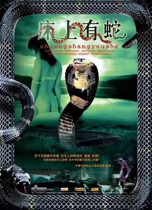 最新蛇片，蛻變的旅程，召喚自信與成就感的冒險之旅