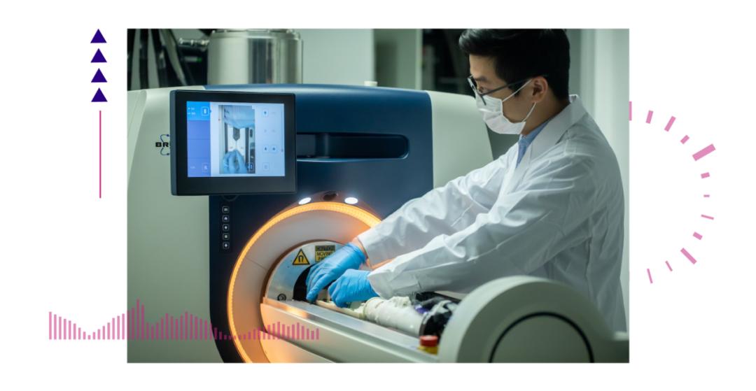 香港脊髓研究取得新進(jìn)展，探索自然美景的心靈之旅新篇章