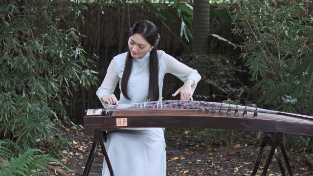 抖音最新琵琶演奏，古典與現(xiàn)代的完美融合之美