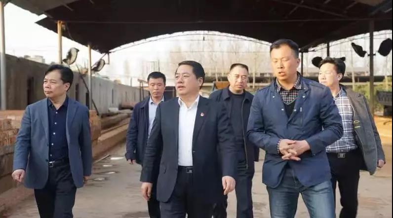 商丘王仲田最新動(dòng)態(tài)，探索自然美景的旅行，尋求內(nèi)心平和之旅