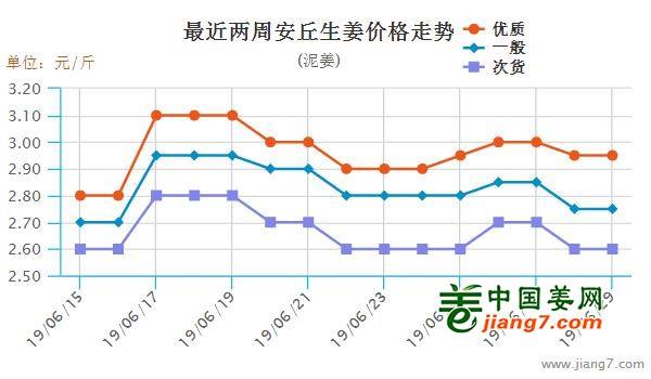 安丘大姜最新行情，機(jī)遇與自我超越的探尋之旅